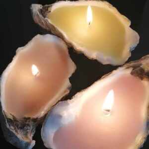 Coquille d'huitre, porte bougie